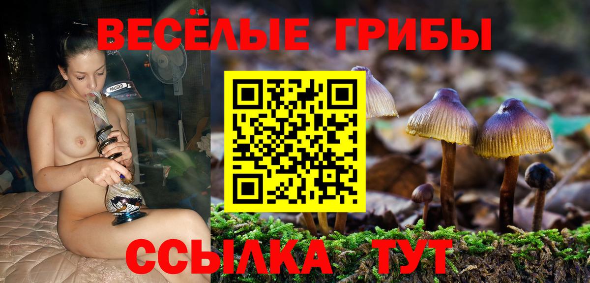 Урай  Псилоцибиновые грибы Magic Shrooms  Вход с VPN 