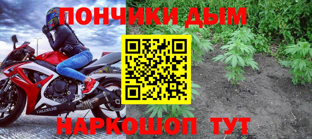 Каннабис OG Kush Урай
